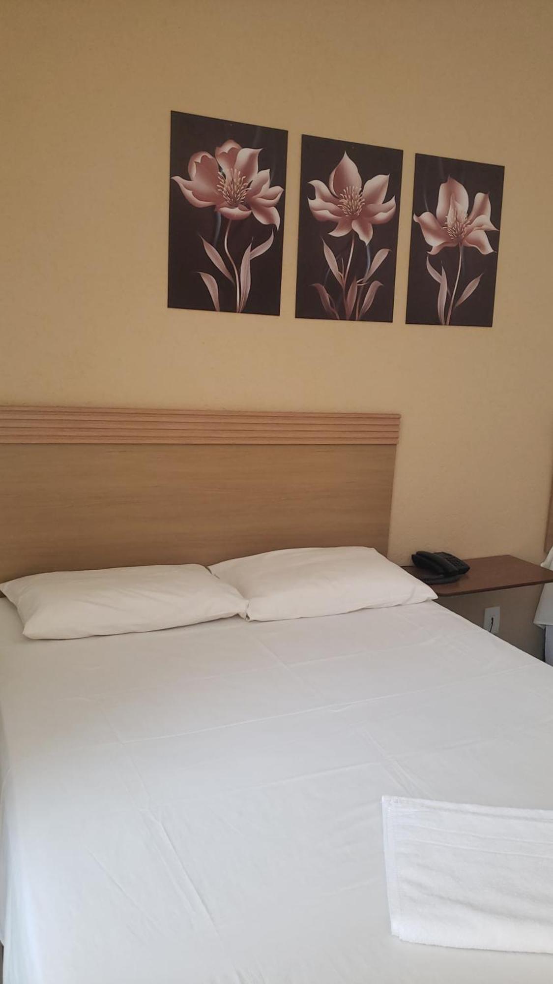 Hotel Flamboia Araraquara Exteriör bild
